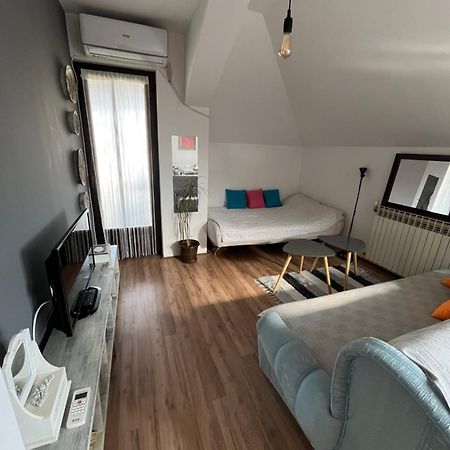 Stan na dan Loznica Apartment Bagian luar foto