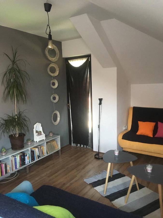 Stan na dan Loznica Apartment Bagian luar foto