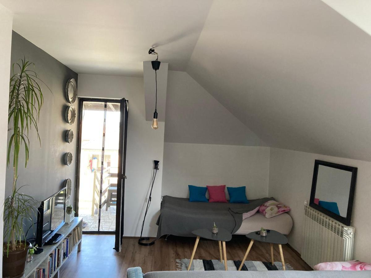 Stan na dan Loznica Apartment Bagian luar foto