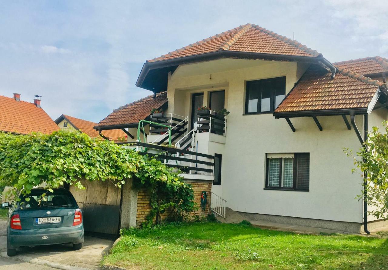 Stan na dan Loznica Apartment Bagian luar foto