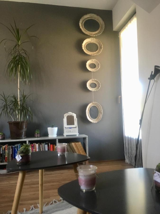 Stan na dan Loznica Apartment Bagian luar foto